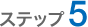 �X�e�b�v5
