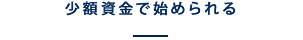 少額資金で始められる