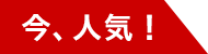 今、人気!