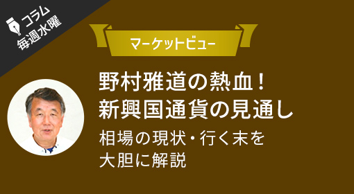 マーケットビュー 野村雅道氏