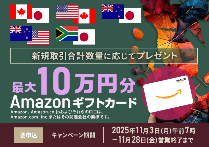 Amazonギフ(11月下)