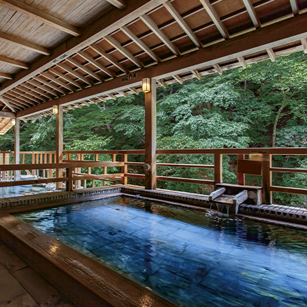 ハーモニックカタログギフト「テイク・ユア・チョイス ジャコビニア」 イメージ