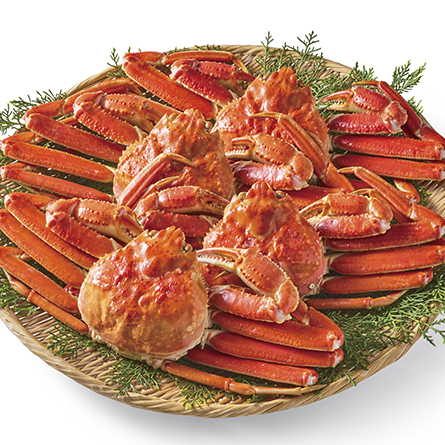 ハーモニックカタログギフト「テイク・ユア・チョイス ジャコビニア」 イメージ