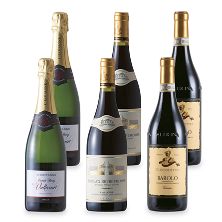 ハーモニックカタログギフト「テイク・ユア・チョイス ジャコビニア」 イメージ