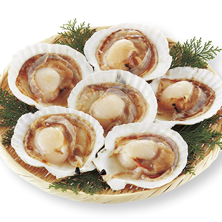 ハーモニックカタログギフト「ナチュール プランタン」 イメージ