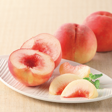 ハーモニックカタログギフト「ナチュール プランタン」 イメージ