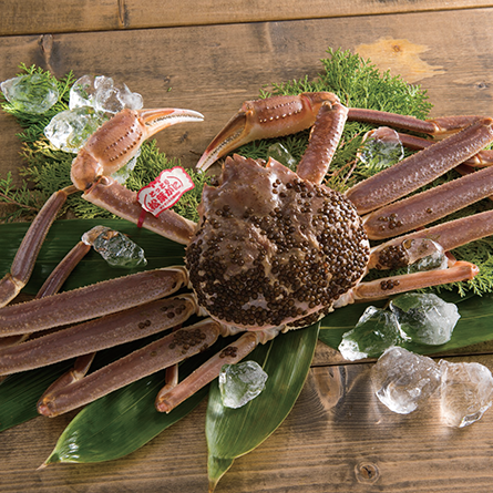 リンベル カタログギフト「ゾディアック＆ヘリオス」 イメージ