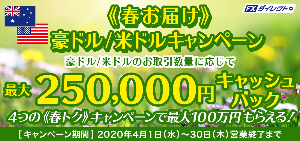 最大25万円キャッシュバックキャンペーン