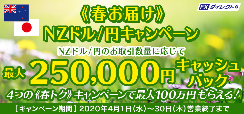 最大25万円キャッシュバックキャンペーン